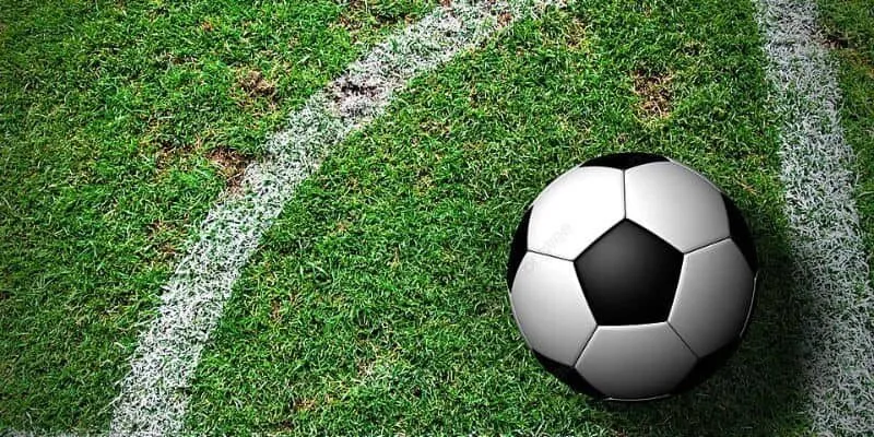 Áp dụng chiến lược giúp tham gia kèo cá cược